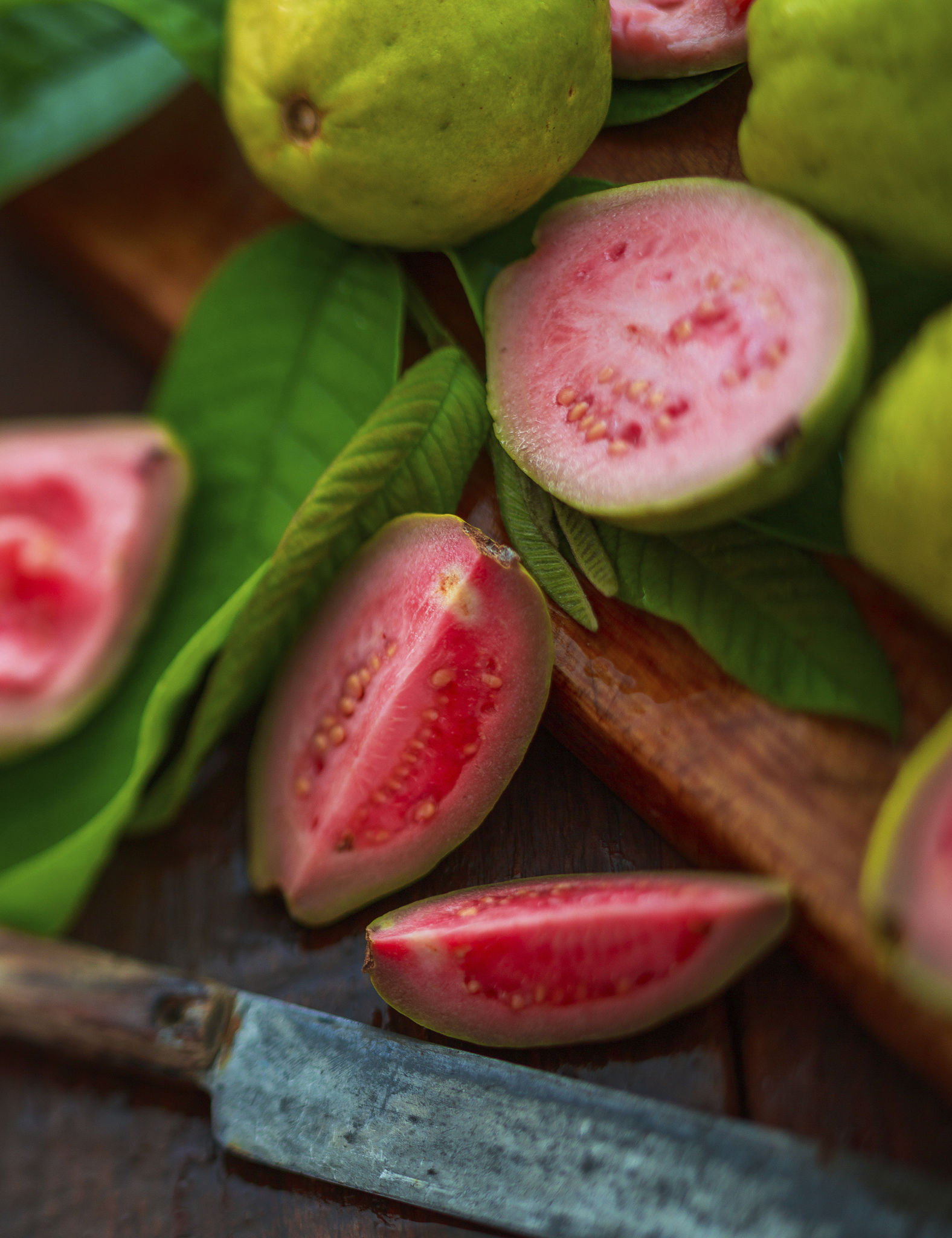 guava fruits guava fruits