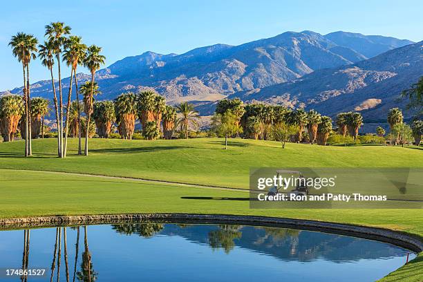 campo de golfe em palm springs na califórnia - palm springs california imagens e fotografias de stock