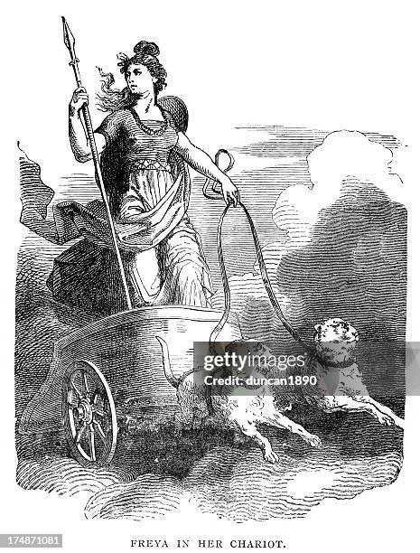 bildbanksillustrationer, clip art samt tecknat material och ikoner med norse mythology - freya in her chariot - mystic goddess