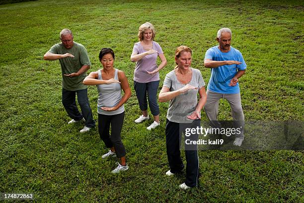 tai chi class - taijiquan bildbanksfoton och bilder