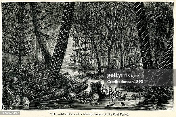 stockillustraties, clipart, cartoons en iconen met primeval forest - carboon