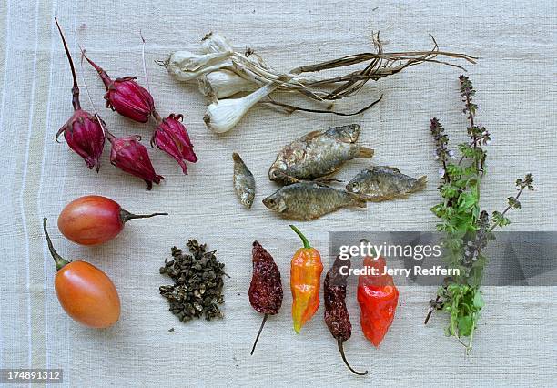 An overview of key ingredients in traditional Naga cooking: from top left, roselle flower, garlic, salted fish, local green herbs, both fresh and...