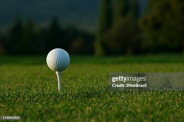 golf ball on green - 2hotbrazil bildbanksfoton och bilder