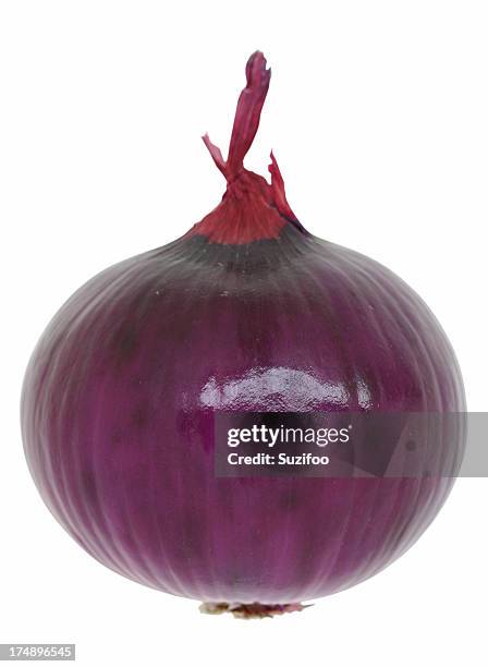 cebola vermelha - red onion imagens e fotografias de stock