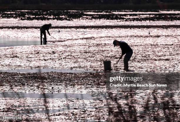 Oyster Landing, a part of Huntington Beach State Park gives visitors direct access to the Murrells Inlet marsh and is a popular place for fishing,...