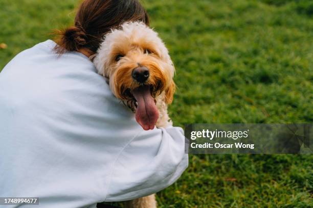 affectionate young asian woman embracing her dog at the park - emotional support animal stock pictures, royalty-free photos & images