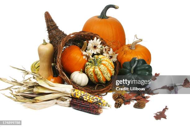 herbst-ernte-serie (isoliert auf weißem hintergrund - indian corn stock-fotos und bilder