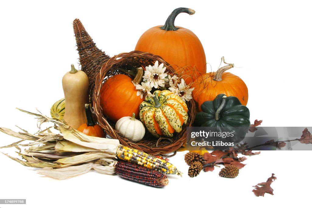 Autumn Harvest Series (isolated on white background)
