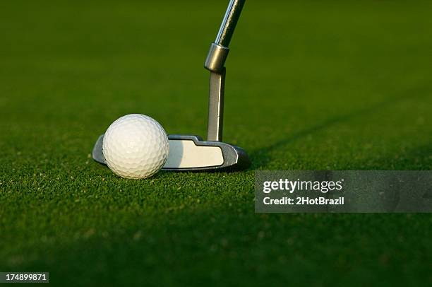 golf ball and putter - 2hotbrazil bildbanksfoton och bilder