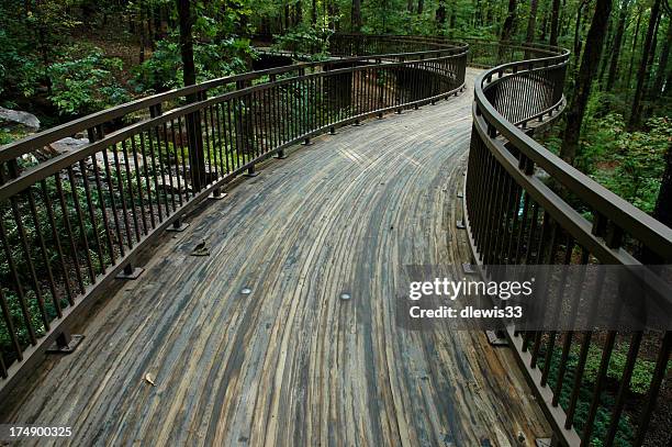 fuß-brücke in woodlands - arkansas stock-fotos und bilder