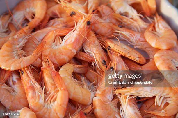 primer plano de camarones - alimentos cocinados fotografías e imágenes de stock
