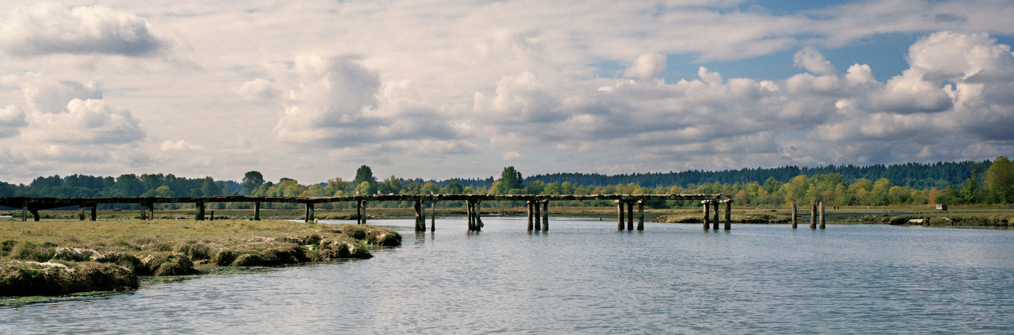 South Tacoma