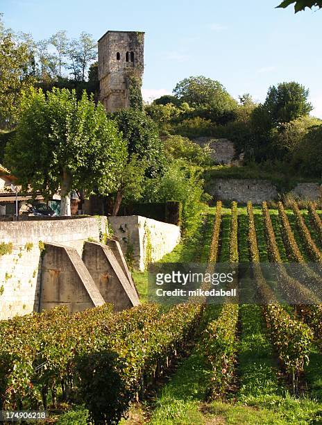 vines with look out tower - cognac stockfoto's en -beelden