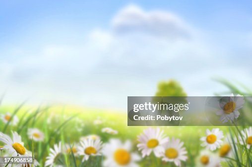 Spring Meadow With A Lone Tree Spring Meadow With A Lone Tree