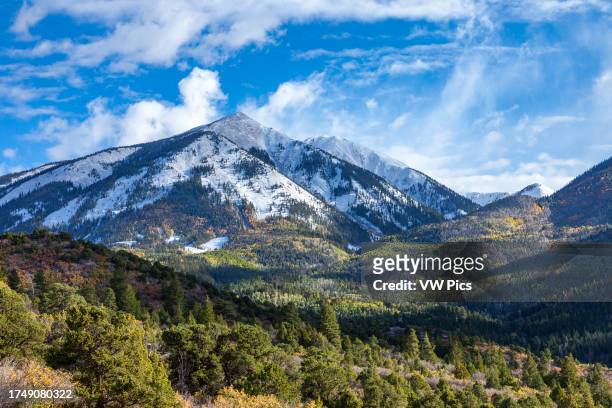 Early snow with aspen trees in fall color in the La Sal Mountains, Manti-La Sal National Forest, near Moab, Utah.