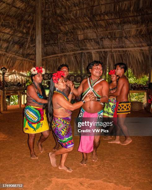Embera Instruments Indigenous Embera men and women in traditional dress perform a dance ...