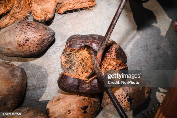 ''Narkel Naru'' is a Bengali sweet made with coconut and sugar. While this delight is apt for any religious festival, Bengalis can't imagine their...