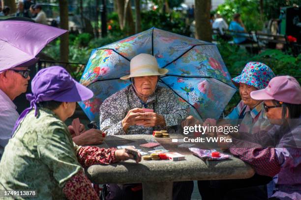 Columbus Park,view in summer of members of the Chinese community playing cards in Columbus Park in Chinatown,downtown Manhattan,New York City,USA