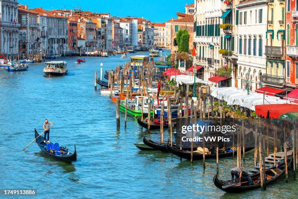 Vaporettos Gondolas, with tourists, on the Grand Canal, next to the Fondamenta del Vin, Venice, UNESCO, Veneto, Italy, Europe. Venice is slowly...