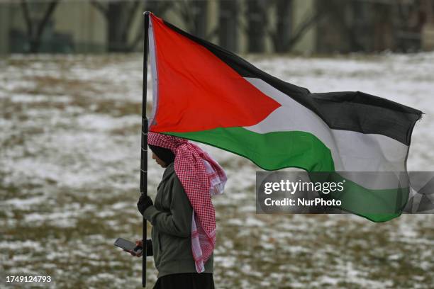 Pro-Palestinian students gather at the Alberta Legislature during a 'Students Protest for Ceasefire' protest, on October 27 in Edmonton, Alberta,...