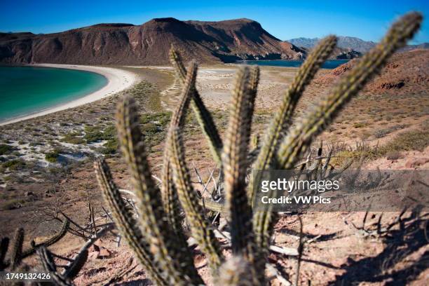 Isla San Francisco, Sea of Cortes, Baja California Sur, Mexico. The lack of rain and the increase in temperatures expose Baja California to...