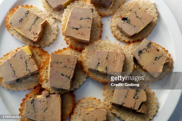 Traditional french apetizer toasts with a slice of foie gras.
