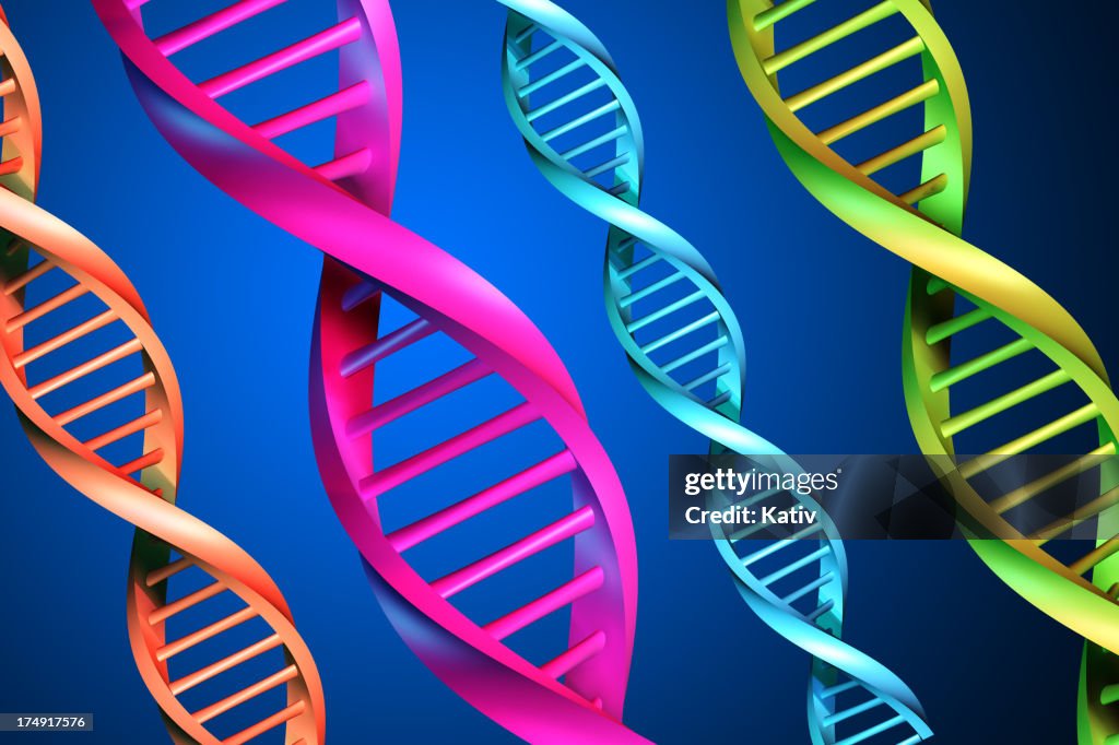 DNA-Stränge XXL