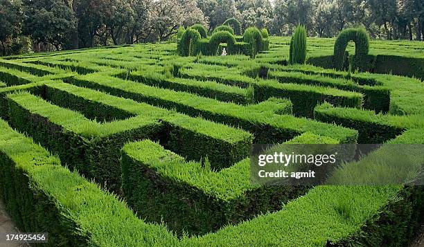 labyrinth - maze stock pictures, royalty-free photos & images