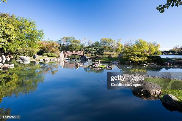 osaka garden in chicago - water garden stock pictures, royalty-free photos & images
