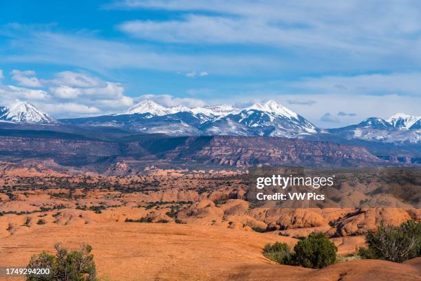 View of the La Sal Mountains over the Navajo Sandstone domes of the Sandflats Recreation Area near Moab, Utah.