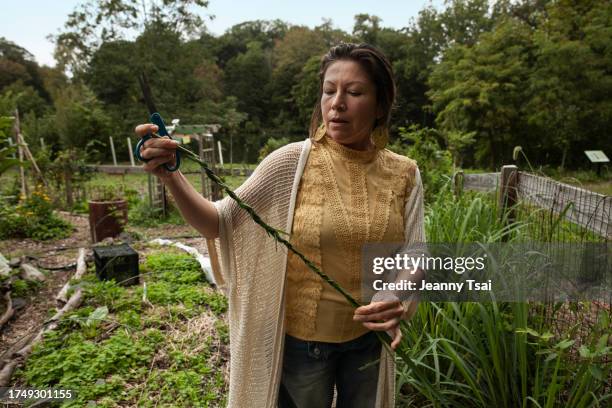 una madre soltera y dos niños pasan tiempo juntos en un jardín comunitario - hierba vanilla fotografías e imágenes de stock