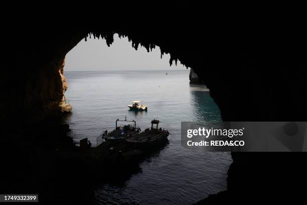 The Zinzulusa is a natural coastal cave located along the Salento coast between Castro and Santa Cesarea Terme, the cave hosts an unusual biological...