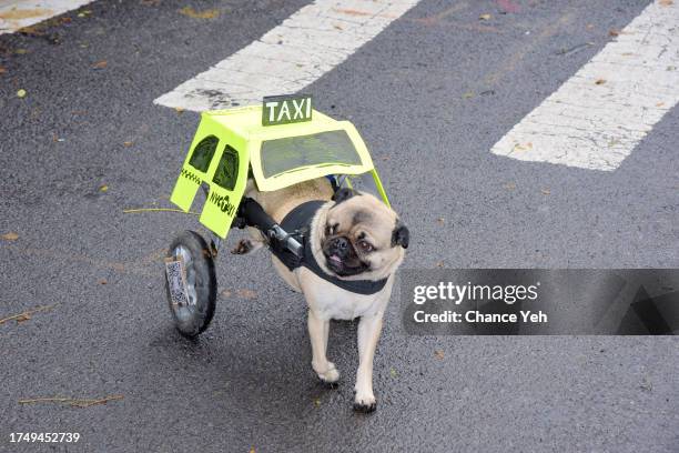 Guests attend the 33rd annual Tompkins Square Halloween Dog Parade at Tompkins Square Park on October 21, 2023 in New York City.