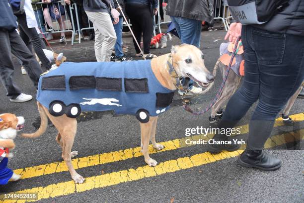 Guests attend the 33rd annual Tompkins Square Halloween Dog Parade at Tompkins Square Park on October 21, 2023 in New York City.