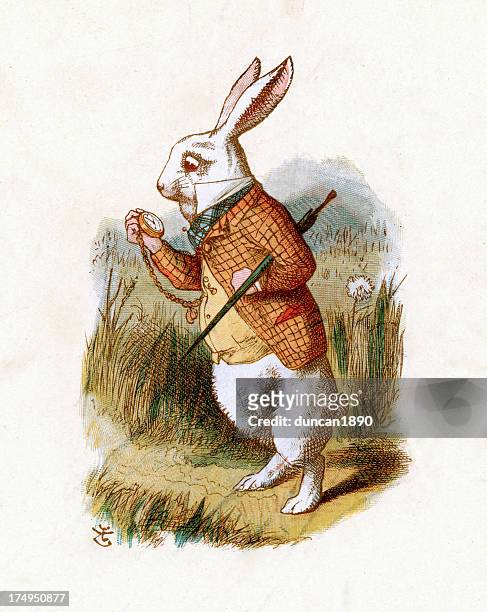 das weiße kaninchen-alice im wunderland - alice im wunderland stock-grafiken, -clipart, -cartoons und -symbole