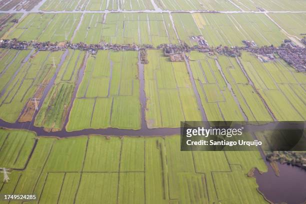 aerial view of cultivated fields in westeinderplassen (west end lakes) - peat stockfoto's en -beelden