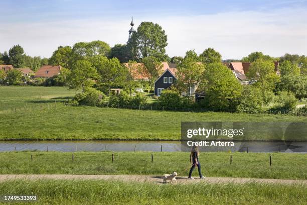 Girl walking with dog at Kattendijke, Goes, Zeeland, the Netherlands.