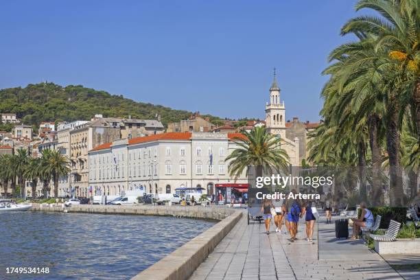 Franciscan church and monastery of St. Francis and boulevard with palm trees at waterfront of the city Split, Split-Dalmatia County, Croatia.