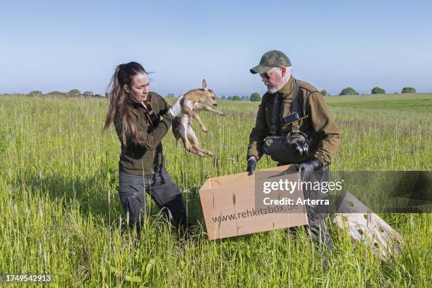 Removing Roe 2,441 Drone Search And Rescue Stock Photos, High-Res Pictures, and ...
