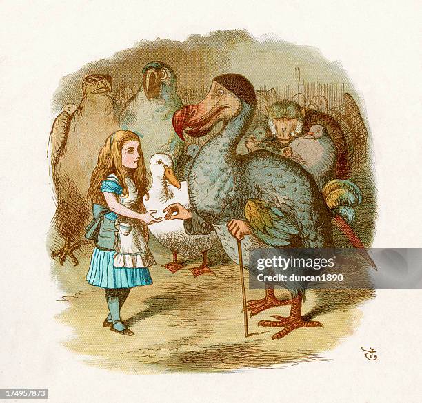 ilustraciones, imágenes clip art, dibujos animados e iconos de stock de alice in wonderland - dodo