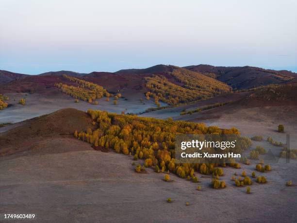 autumn grassland natural landscape covered by fog - aerial top view steppe stock pictures, royalty-free photos & images