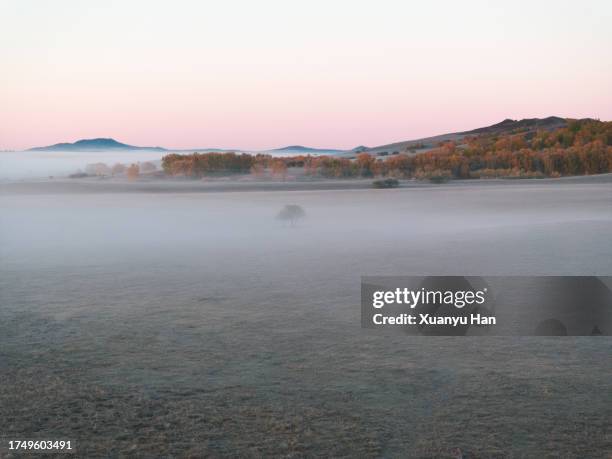 autumn grassland natural landscape covered by fog - aerial top view steppe stock pictures, royalty-free photos & images