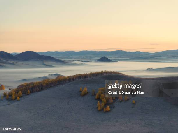 autumn grasslands covered in fog at sunrise - aerial top view steppe stock pictures, royalty-free photos & images