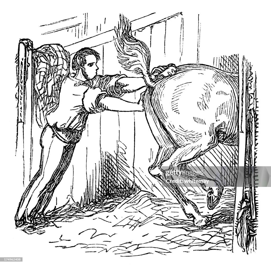 Problems with a horse