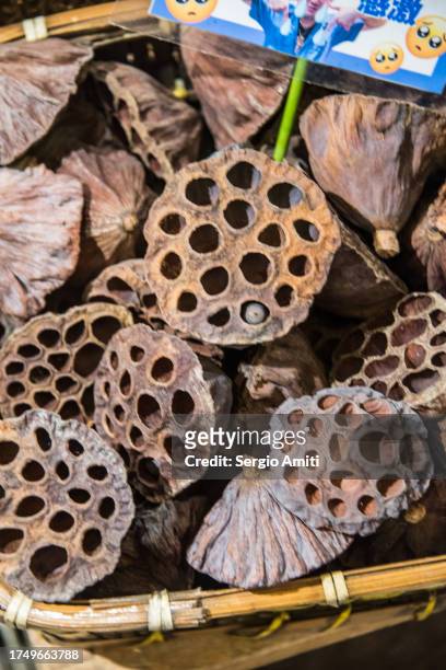 japanese dried lotus seed pods - takuan stockfoto's en -beelden