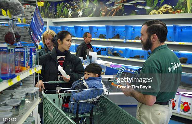 Petsmart Fish Bob Fish Photos and Premium High Res Pictures - Getty Images