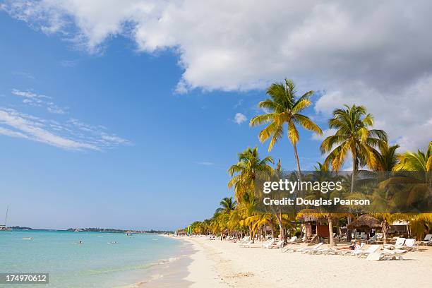 idyllic white sand beach, negril, jamaica - negril jamaica imagens e fotografias de stock