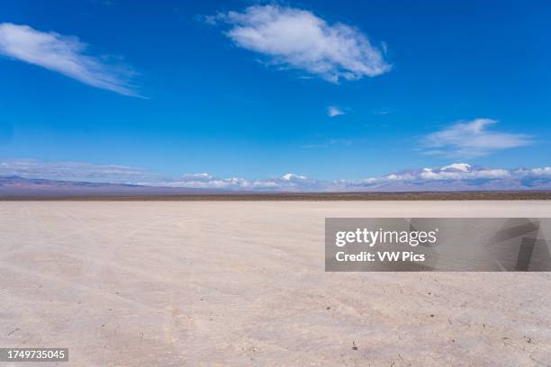 Barreal Blanca or Pampa del Leoncito, a dry lake bed in the Calingasta Valley of San Juan Province, Argentina. The Cordon de La Ramada , Cerro...