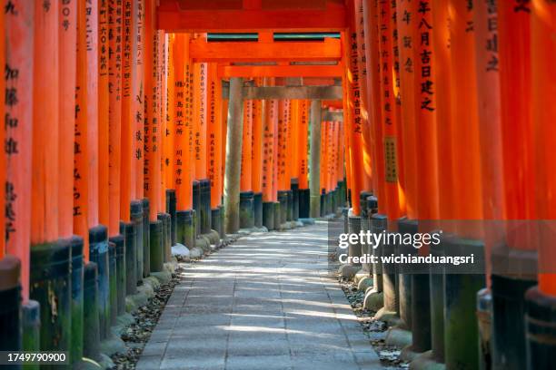 torii gates in fushimi inari shrine, kyoto, japan - prefeitura de quioto imagens e fotografias de stock
