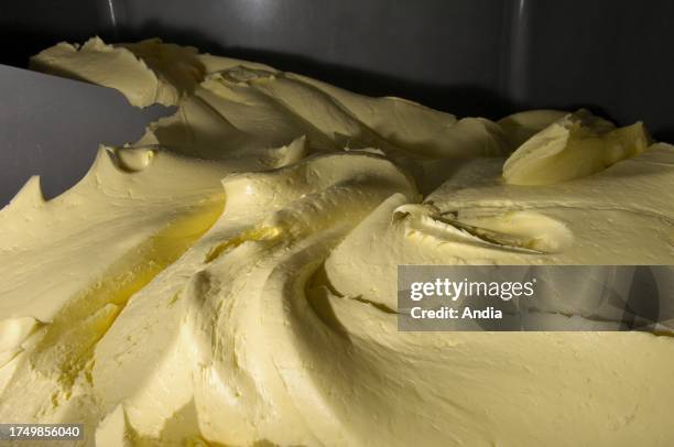 The Isigny-Sainte-Mere Dairy Cooperative : butter making.